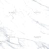 Statuario Nova - Image 6