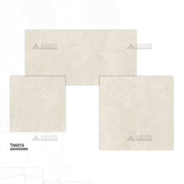 Antartic - Image 4