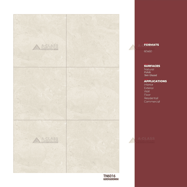 Antartic - Image 5