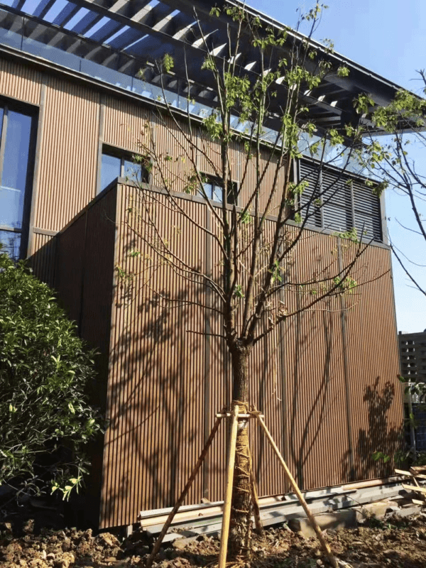 4 Pier Teak External Wall Cladding - Image 3
